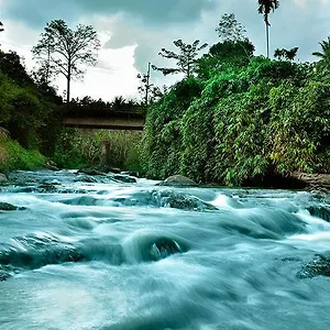 Rivertree 3* Munnar